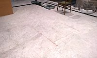 WP 20190306 17 37 46 Pro